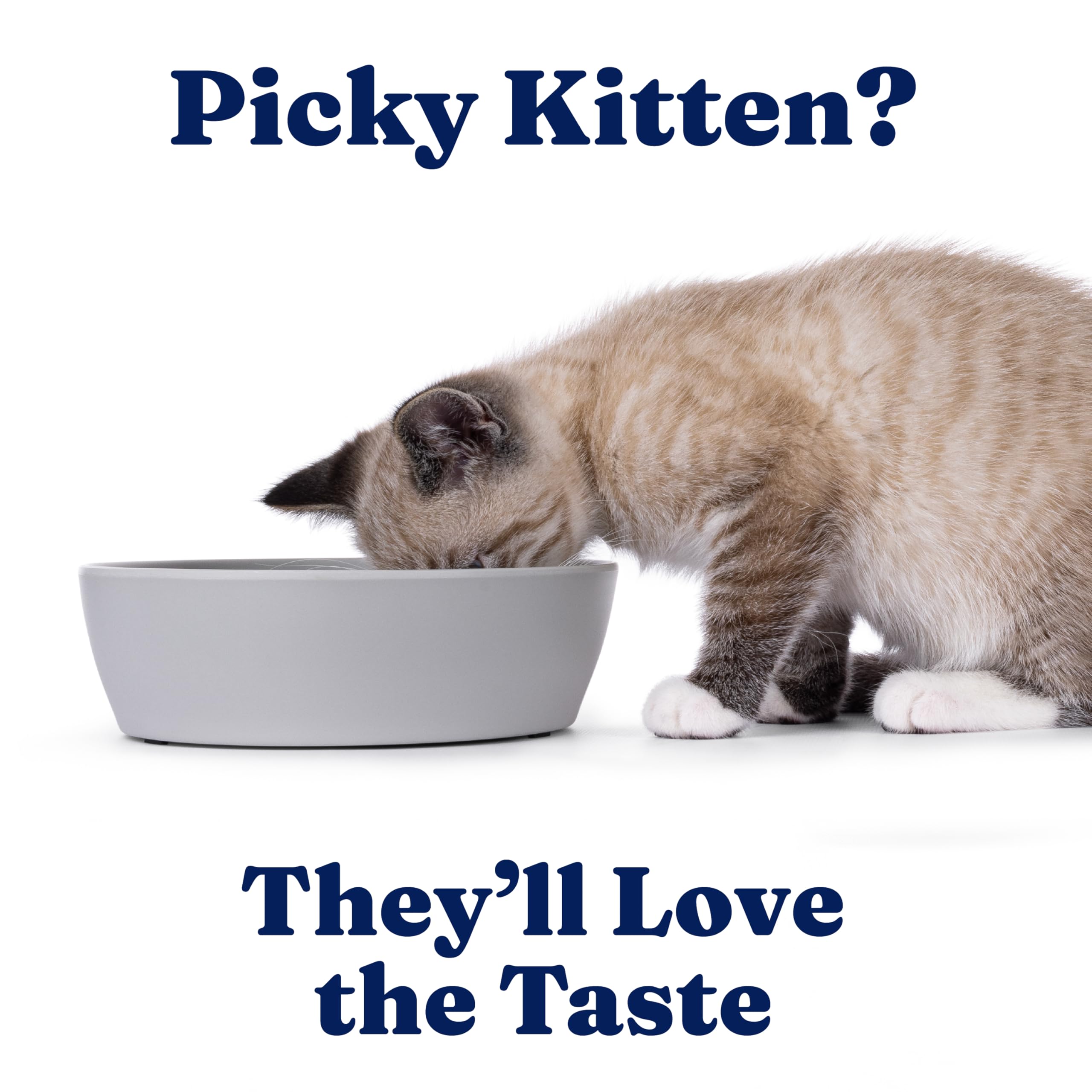 Solid Gold kitten pate provides vitamins and minerals for balanced nutrition