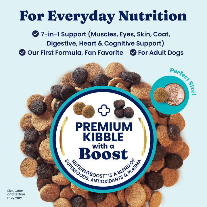 Solid Gold Lamb Dog Food kibble closeup emphasizes high-protein real meat first ingredient.