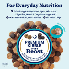 Solid Gold Lamb Dog Food kibble closeup emphasizes high-protein real meat first ingredient.