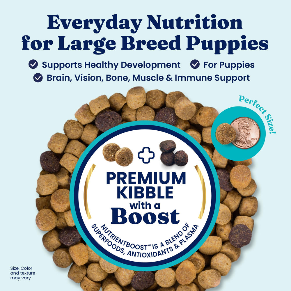 Solid Gold large-breed puppy kibble image emphasizes whole grains to support digestion and steady energy.