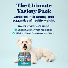 Solid Gold Leaping Waters chicken and salmon can close-up emphasizes grain-free digestion benefits