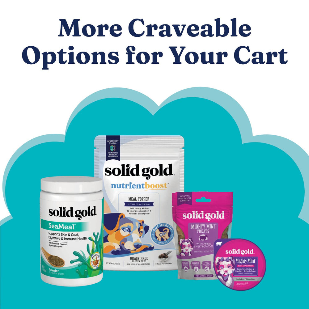 Solid Gold Mighty Mini gut health support for digestion and absorption