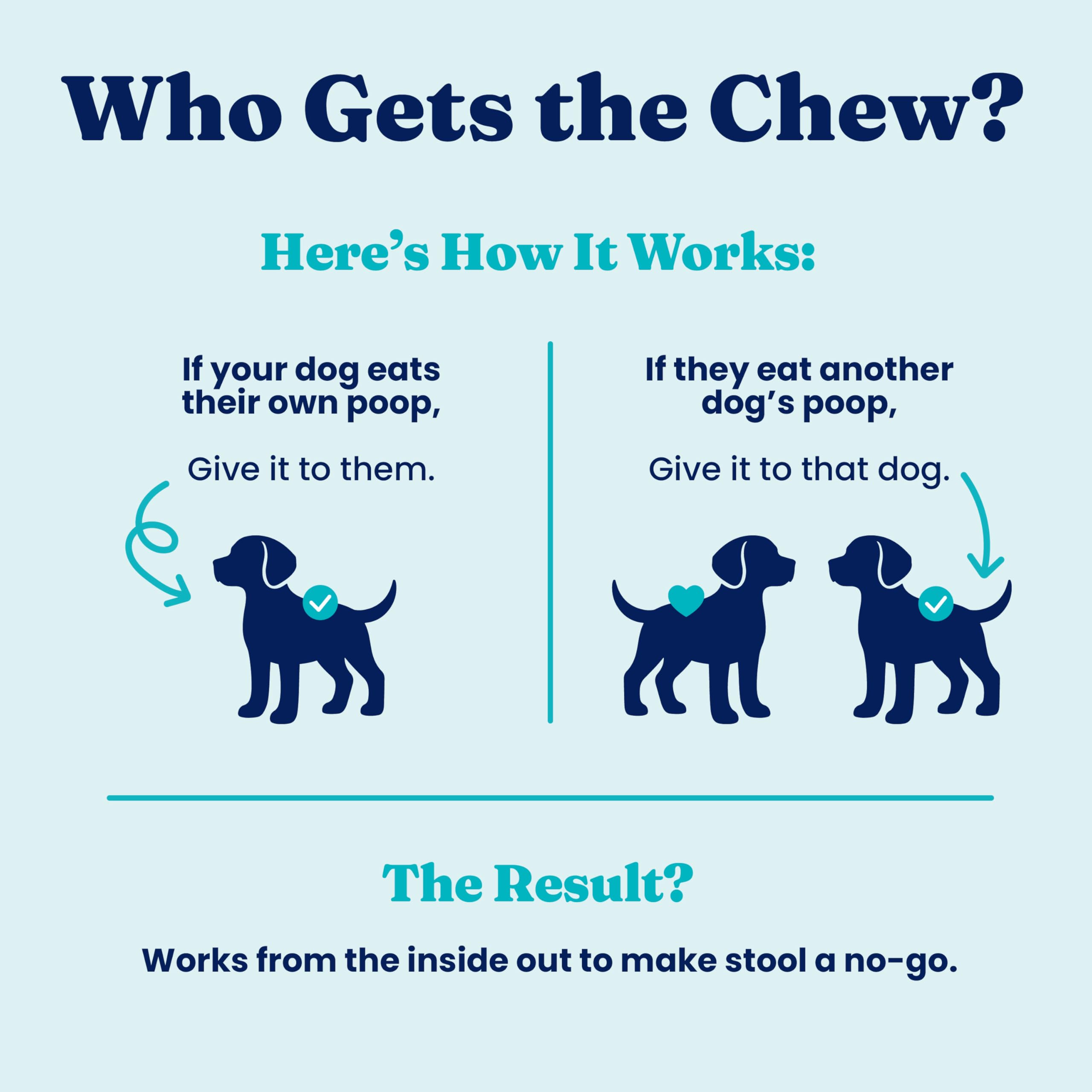 Solid Gold No Poo Chews for Dogs parsley oil aids digestion and comfort