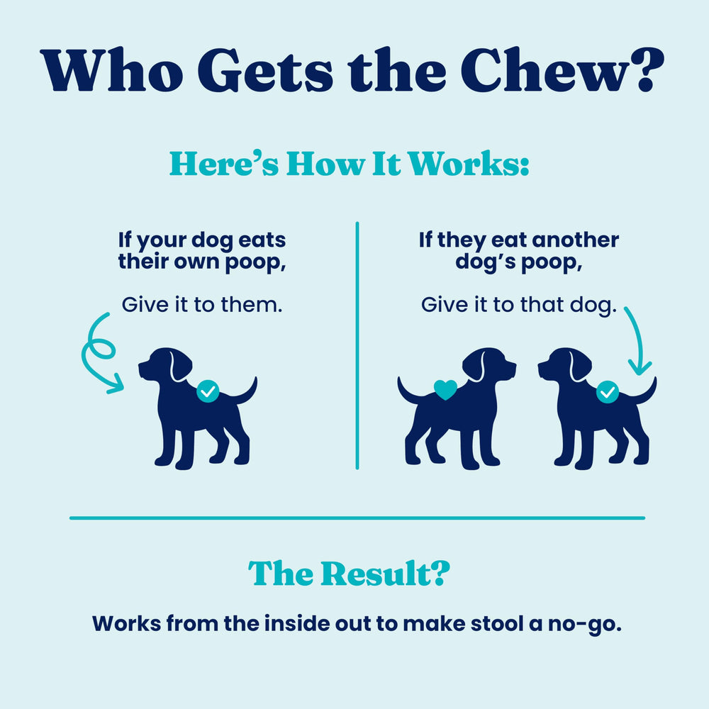 Solid Gold No Poo Chews for Dogs parsley oil aids digestion and comfort