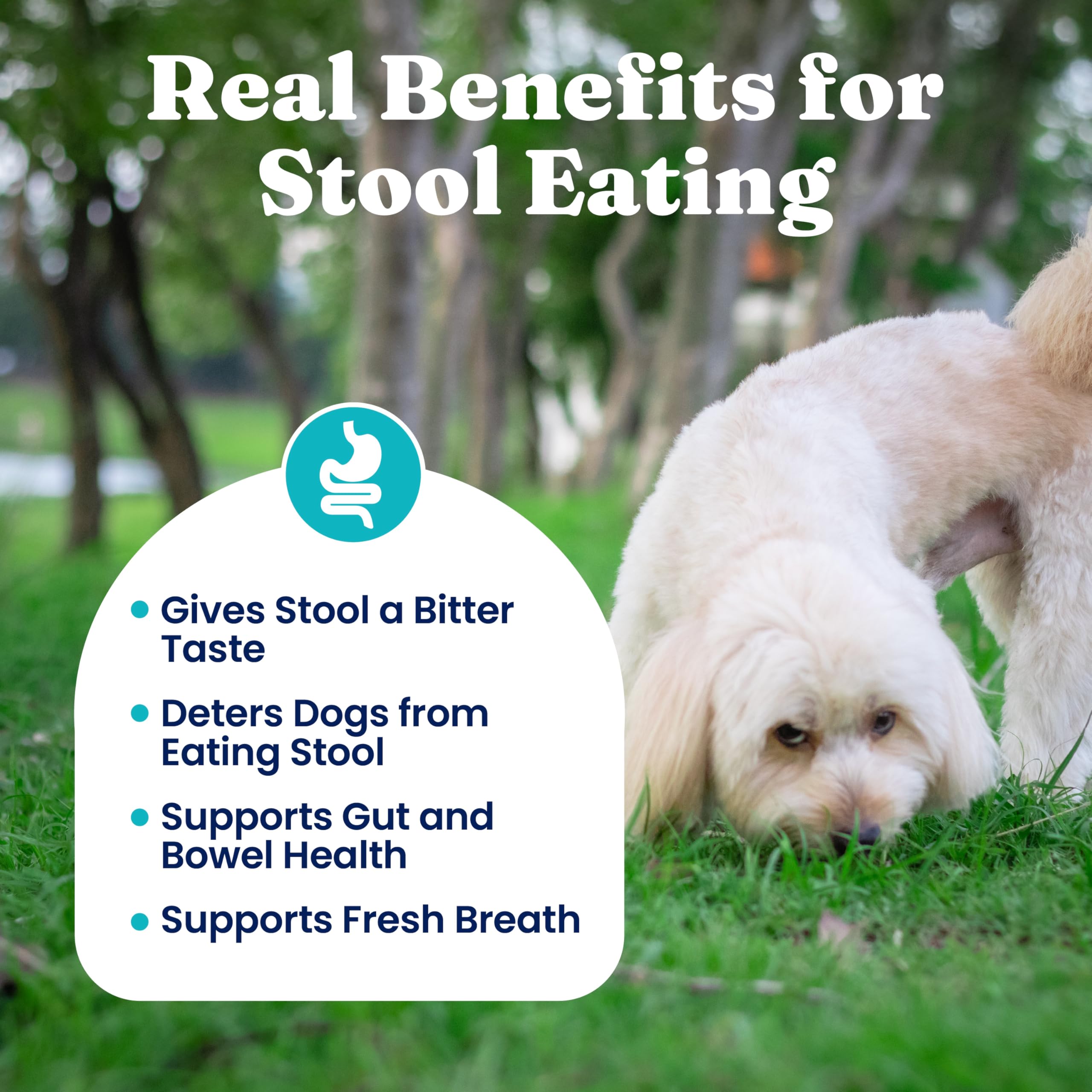 Solid Gold No Poo Chews for Dogs peppermint ingredient supports breath freshness