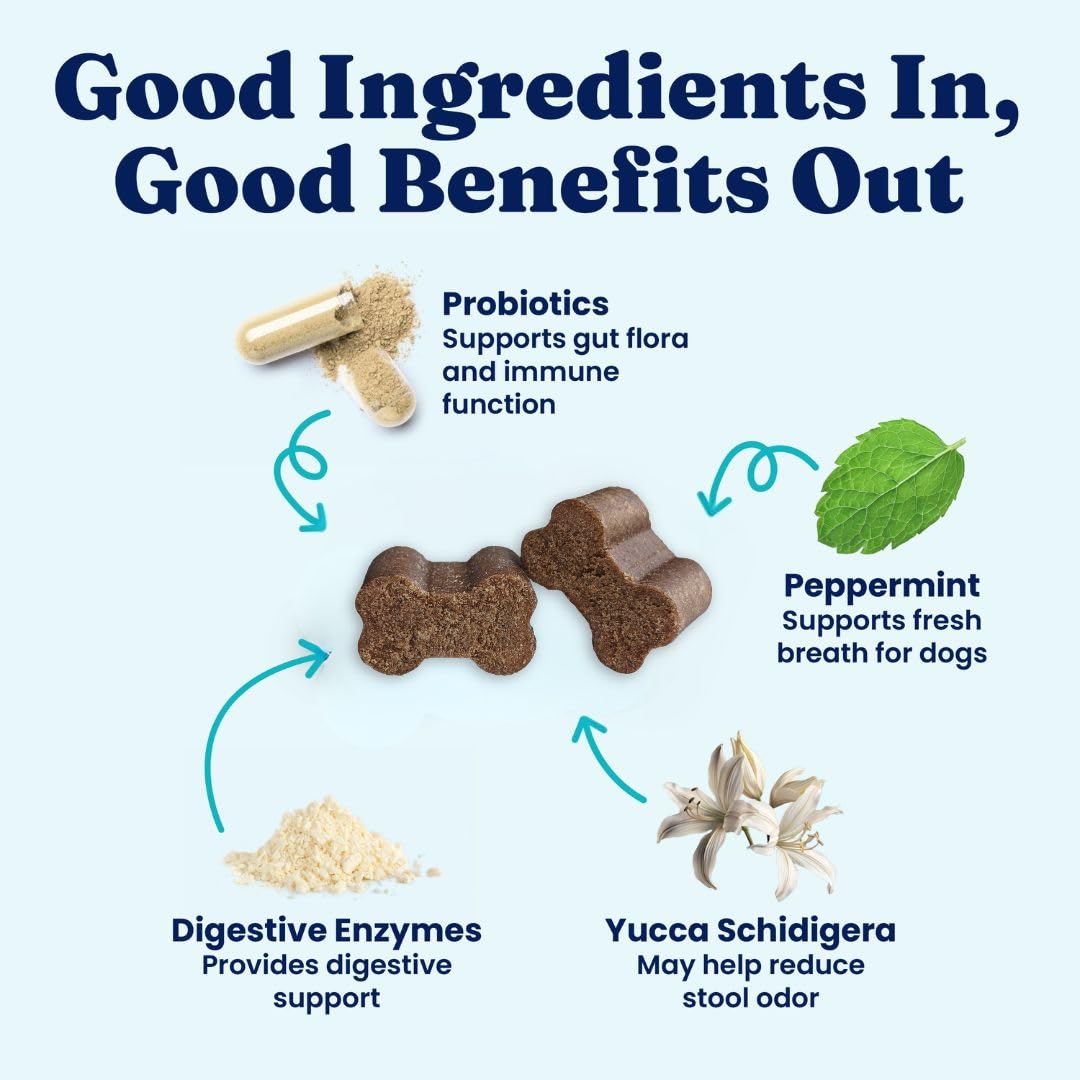 Solid Gold No Poo Chews for Dogs packaging box highlighting gut support