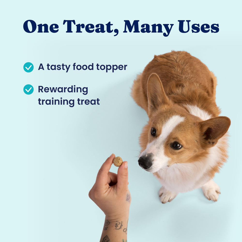 Solid Gold nutrientboost bites add protein and nutrients to kibble.