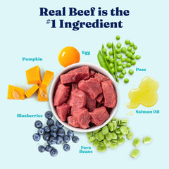 Solid Gold Nutrientboost dog food highlighting plasma-based digestion support