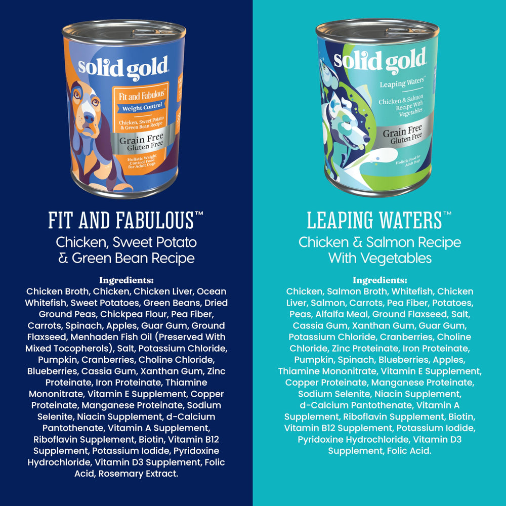Solid Gold packaging and can label display shows convenient 6-pack