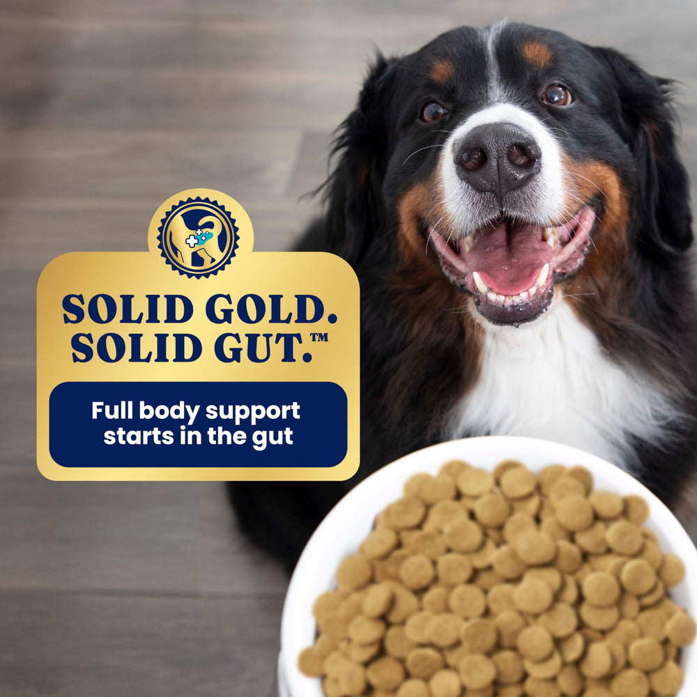 Solid Gold protected probiotics with a 20-superfood blend for gut balance