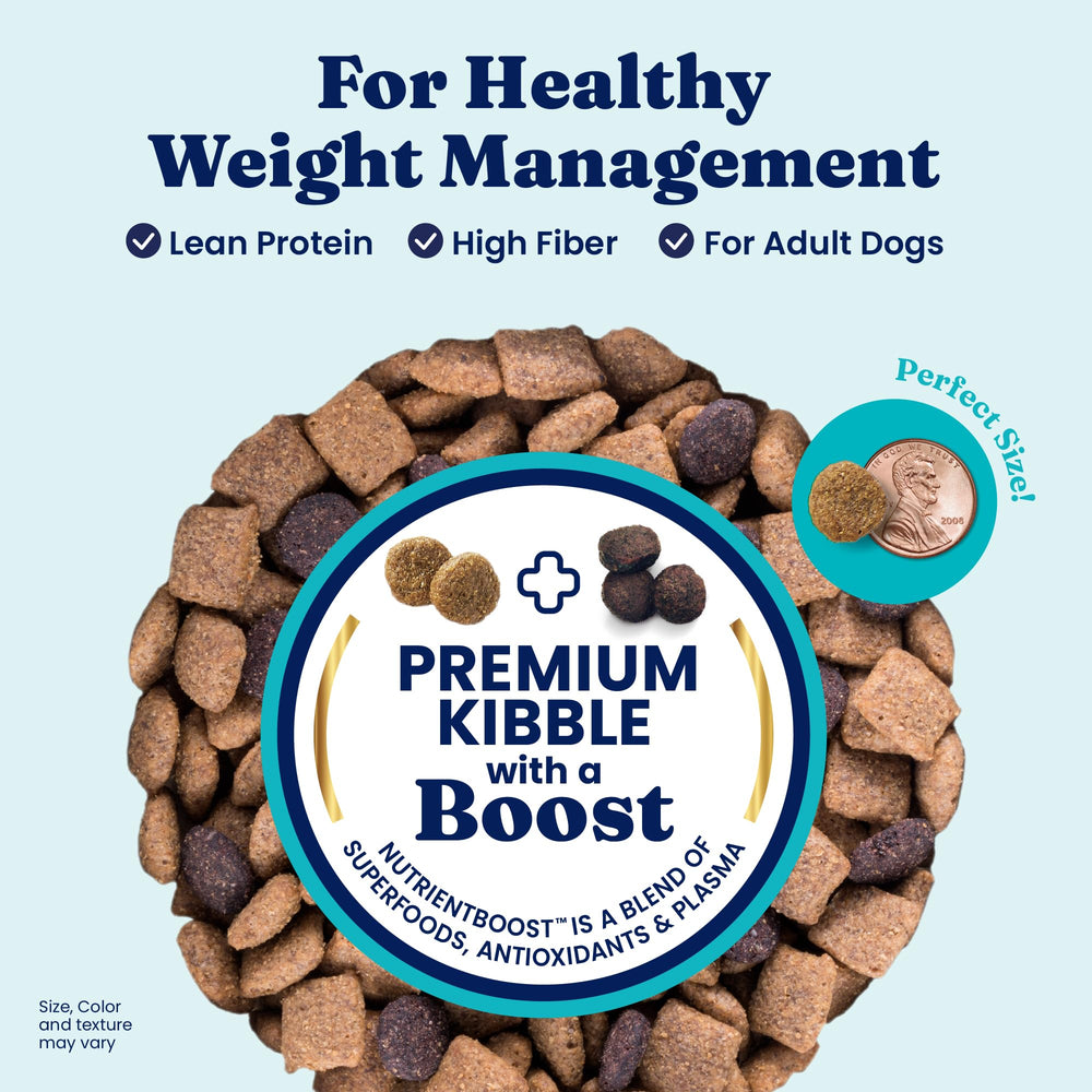 Solid Gold probiotics support gut health and digestion.