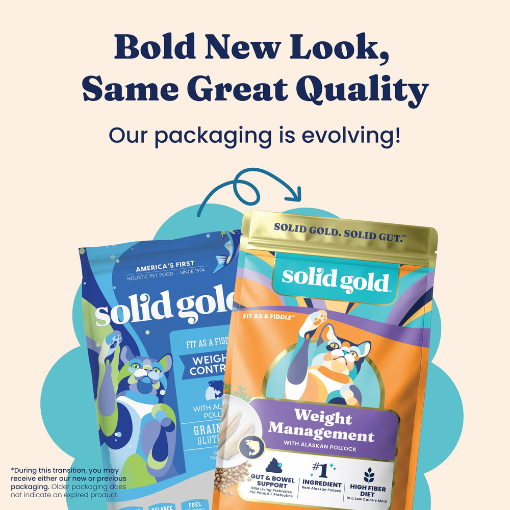 Solid Gold probiotics and prebiotics close-up indicating gut health support.