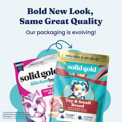 Solid Gold with probiotics and prebiotics to support gut health in small breeds.