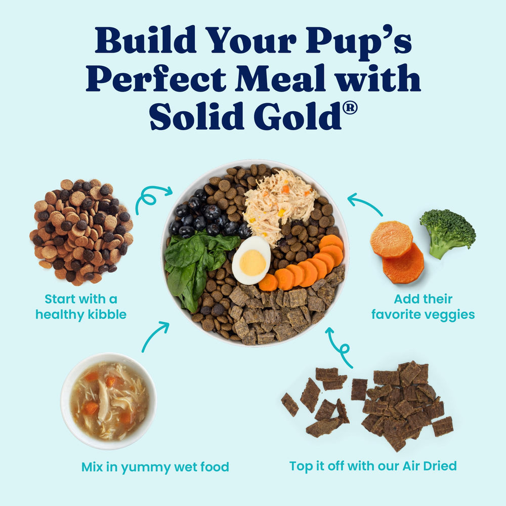 Solid Gold Protein Shreds gravy-style enhancer for meal variety.
