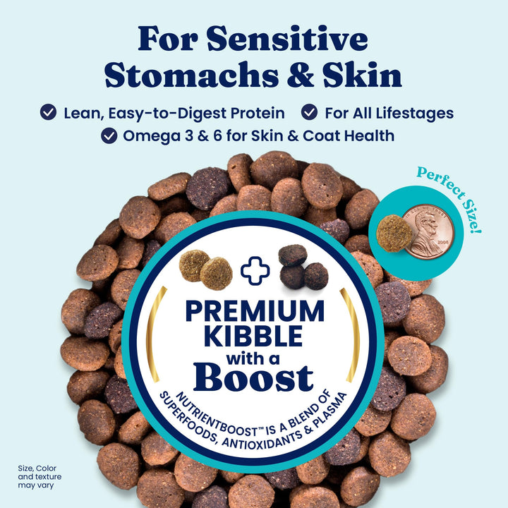 Solid Gold pumpkin digestible dry dog food to support gut health.
