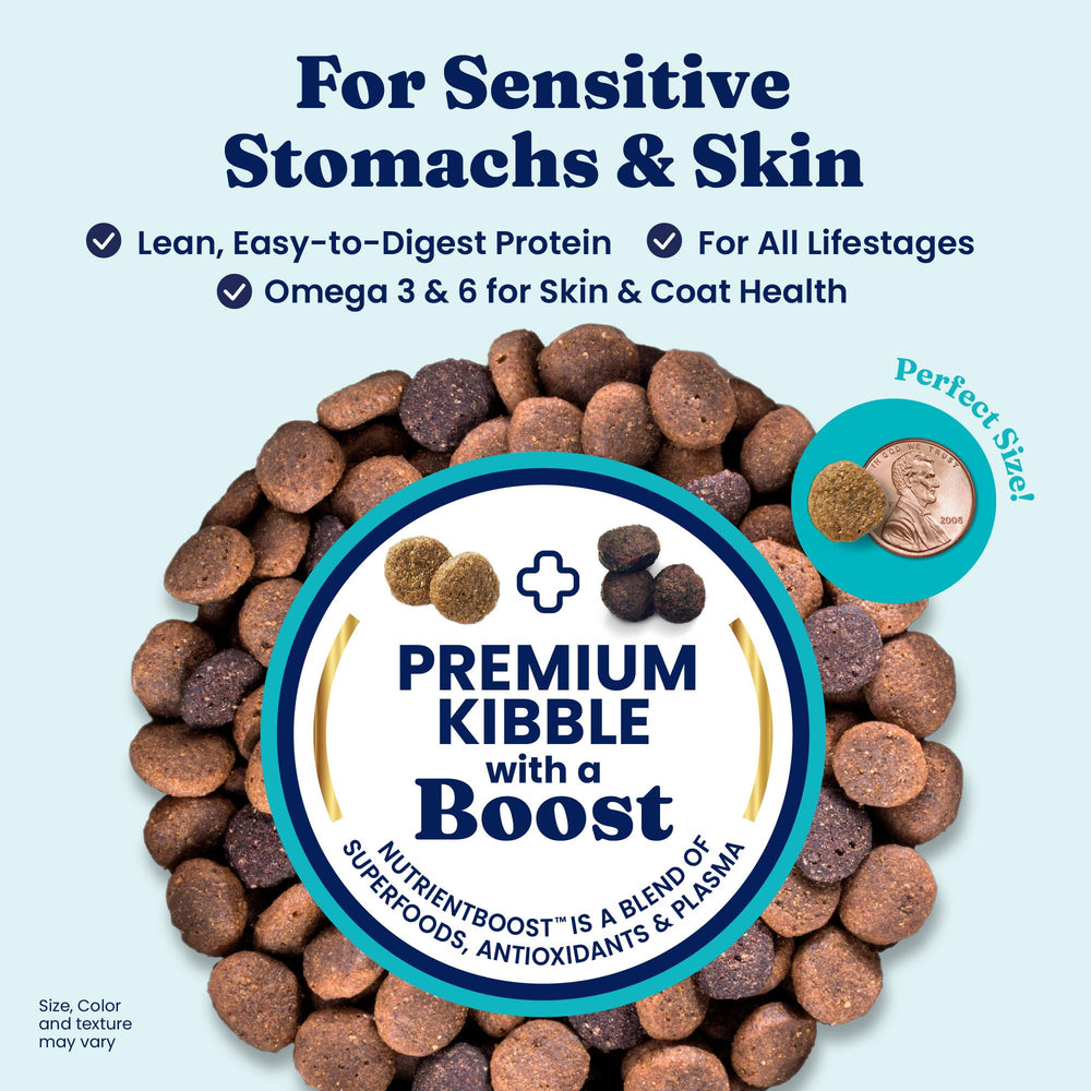 Solid Gold pumpkin digestible dry dog food to support gut health.