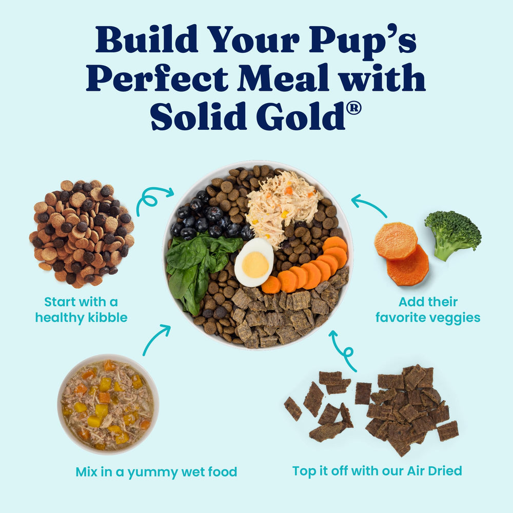 Solid Gold real ingredients poster shows protein-rich meal for sensitive stomachs.