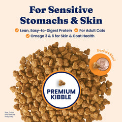 Solid Gold quail protein bowl showcasing lean protein for indoor cats