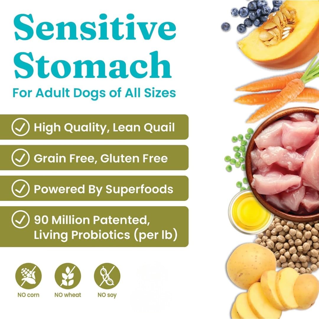 Solid Gold quail protein dog kibble in a bowl; lean protein for sensitive stomachs