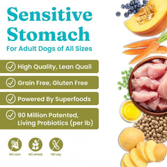 Solid Gold quail protein dog kibble in a bowl; lean protein for sensitive stomachs
