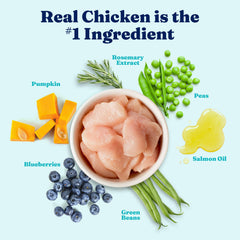 Solid Gold real chicken dry dog food close-up emphasizing high protein flavor