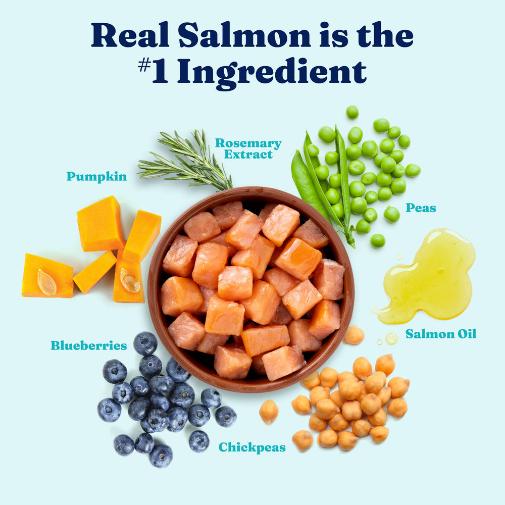 Solid Gold Salmon dog food ingredients closeup highlighting omega-3 richness.