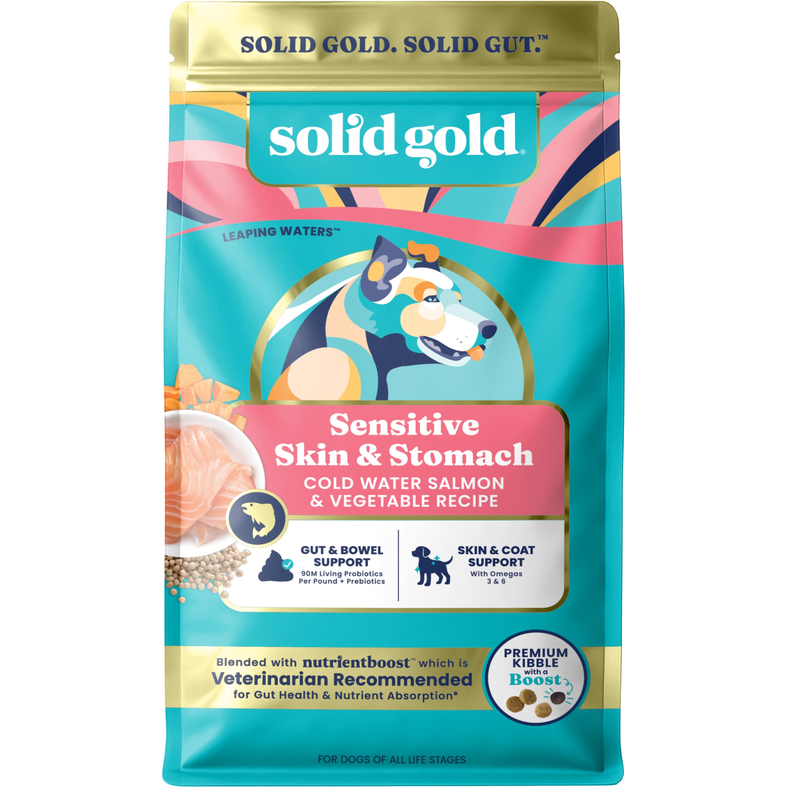 Solid Gold Salmon dog food kibble in a bowl supports gentle digestion and tasty meals.
