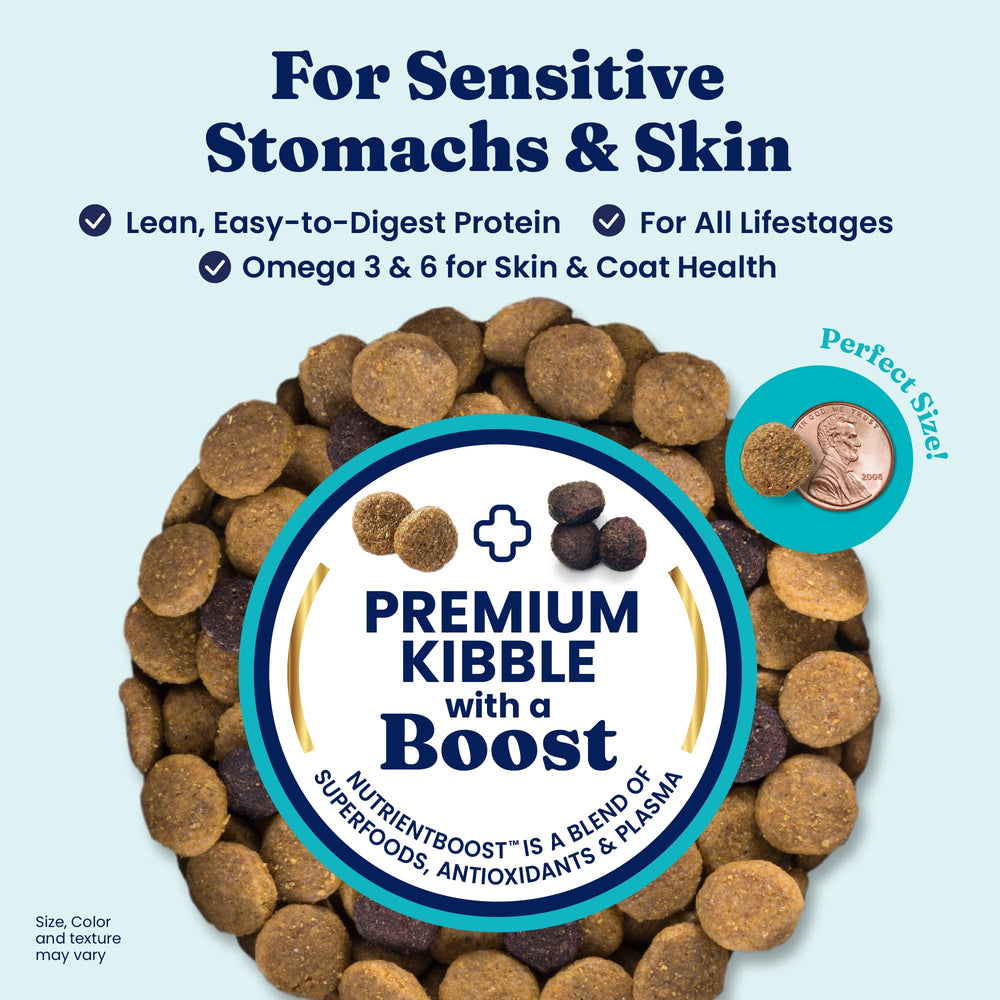 Solid Gold salmon kibble in bowl, ideal for sensitive stomach meals.