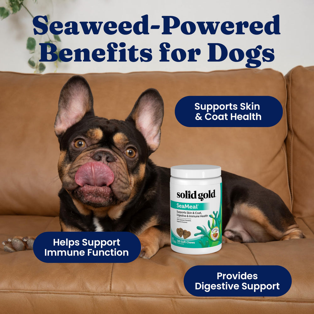 SeaMeal chews close-up highlighting kelp-based multivitamin for pets.