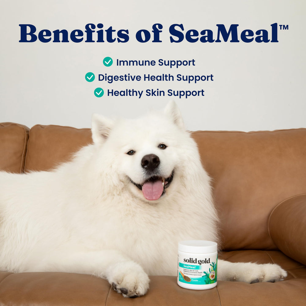 SeaMeal digestive enzyme blend aids pet digestion and nutrient breakdown.