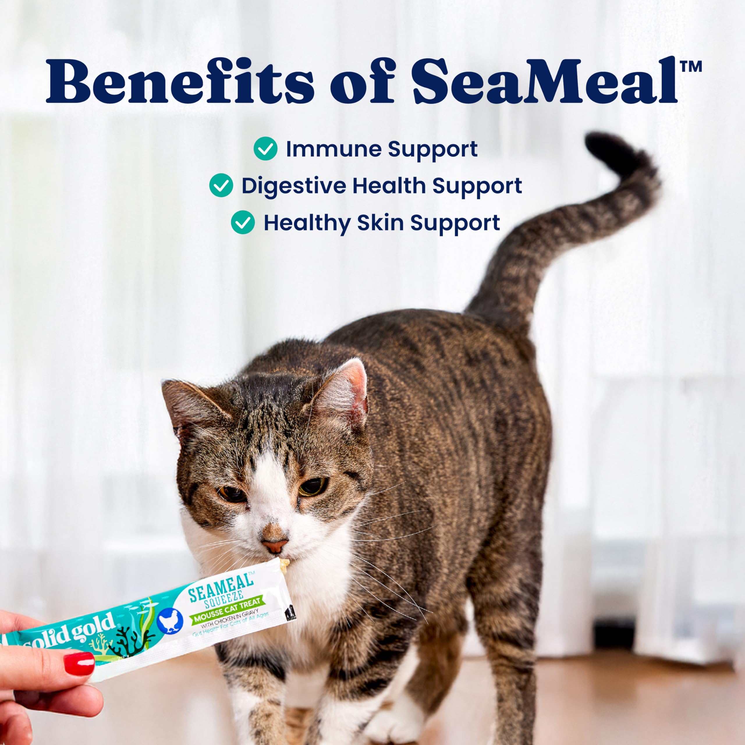 Solid Gold SeaMeal packaging showing the limited-ingredient formula.