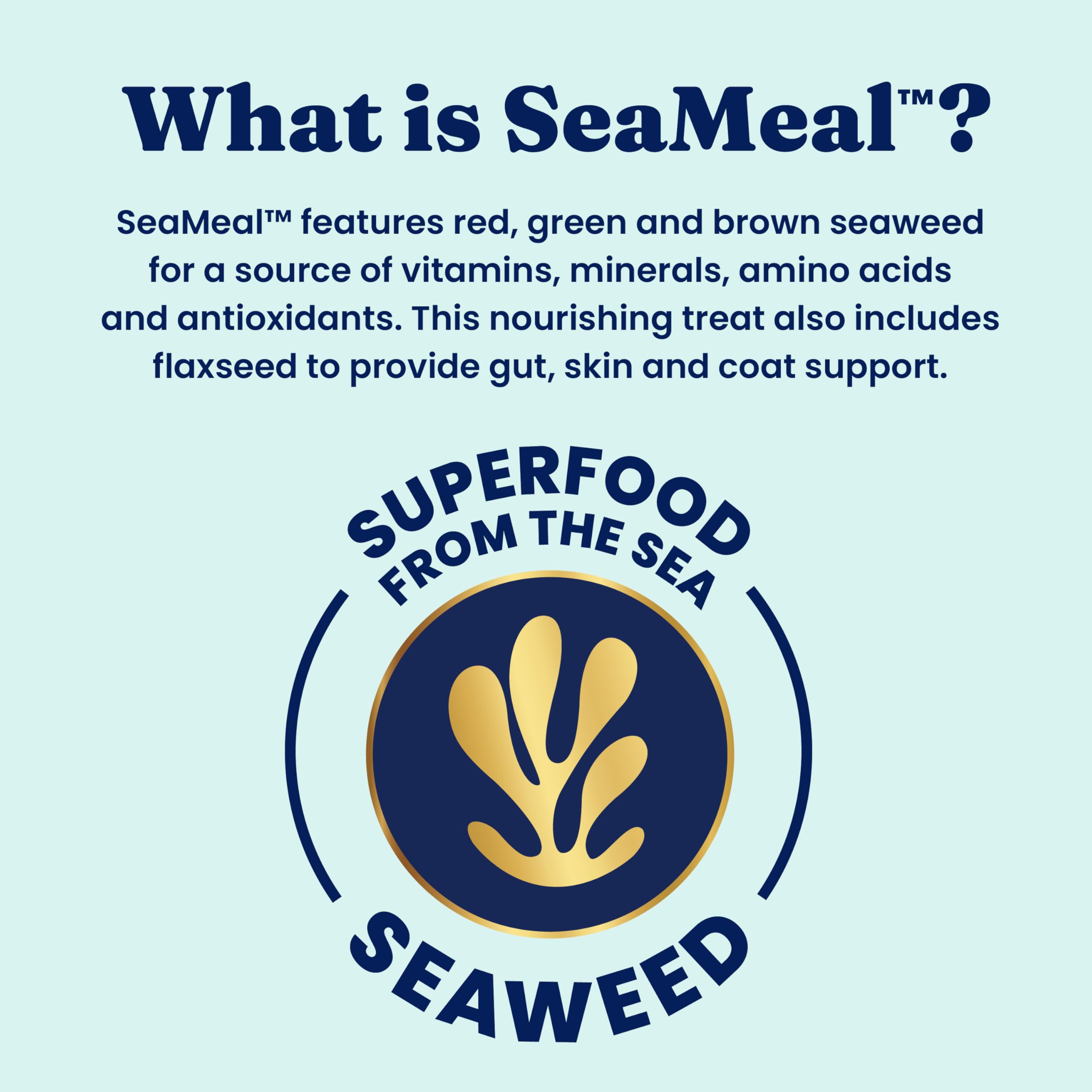 Solid Gold SeaMeal powder in dish supports digestive health.