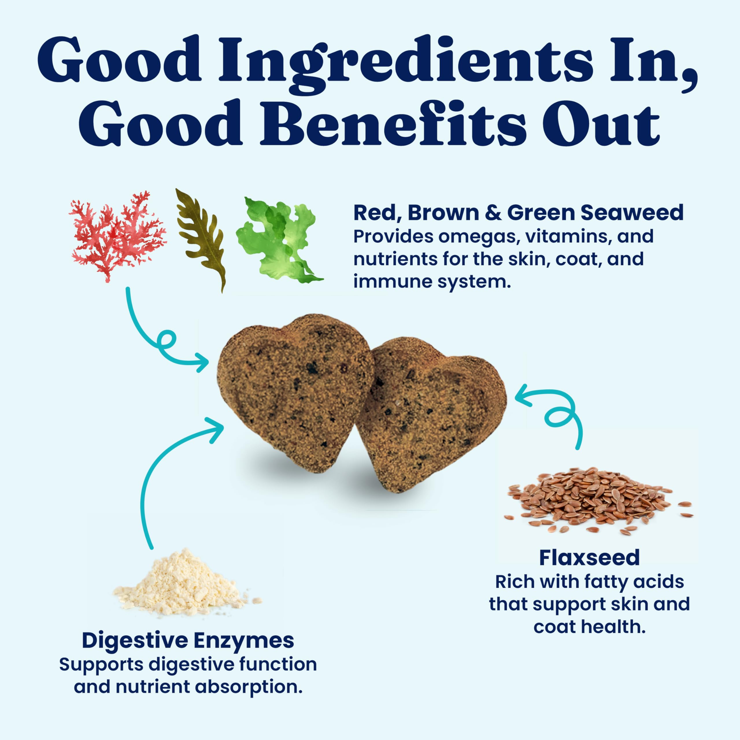 SeaMeal seaweed ingredients illustration highlighting nutrients for digestion.