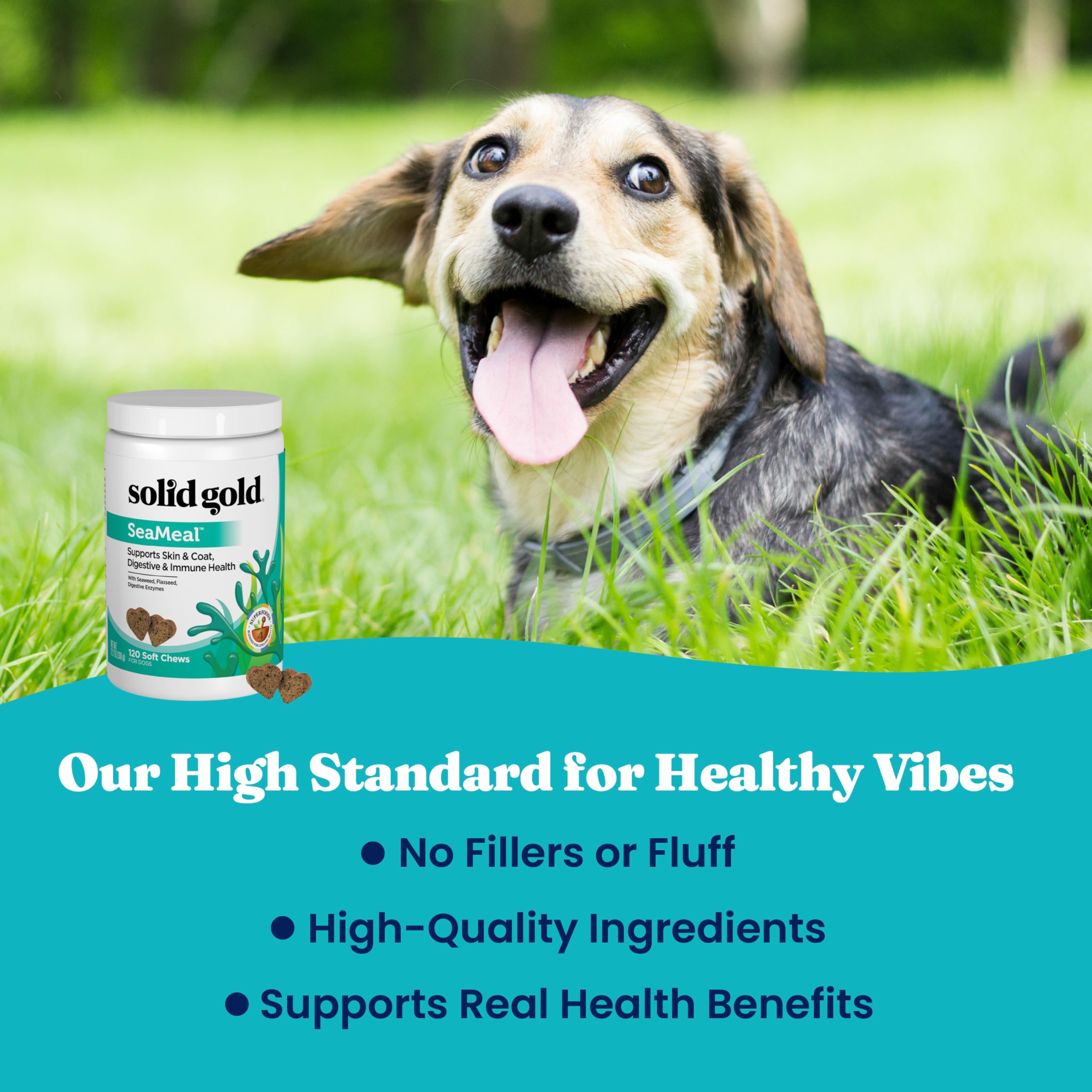 Solid Gold SeaMeal senior dog use-case image implying daily support.