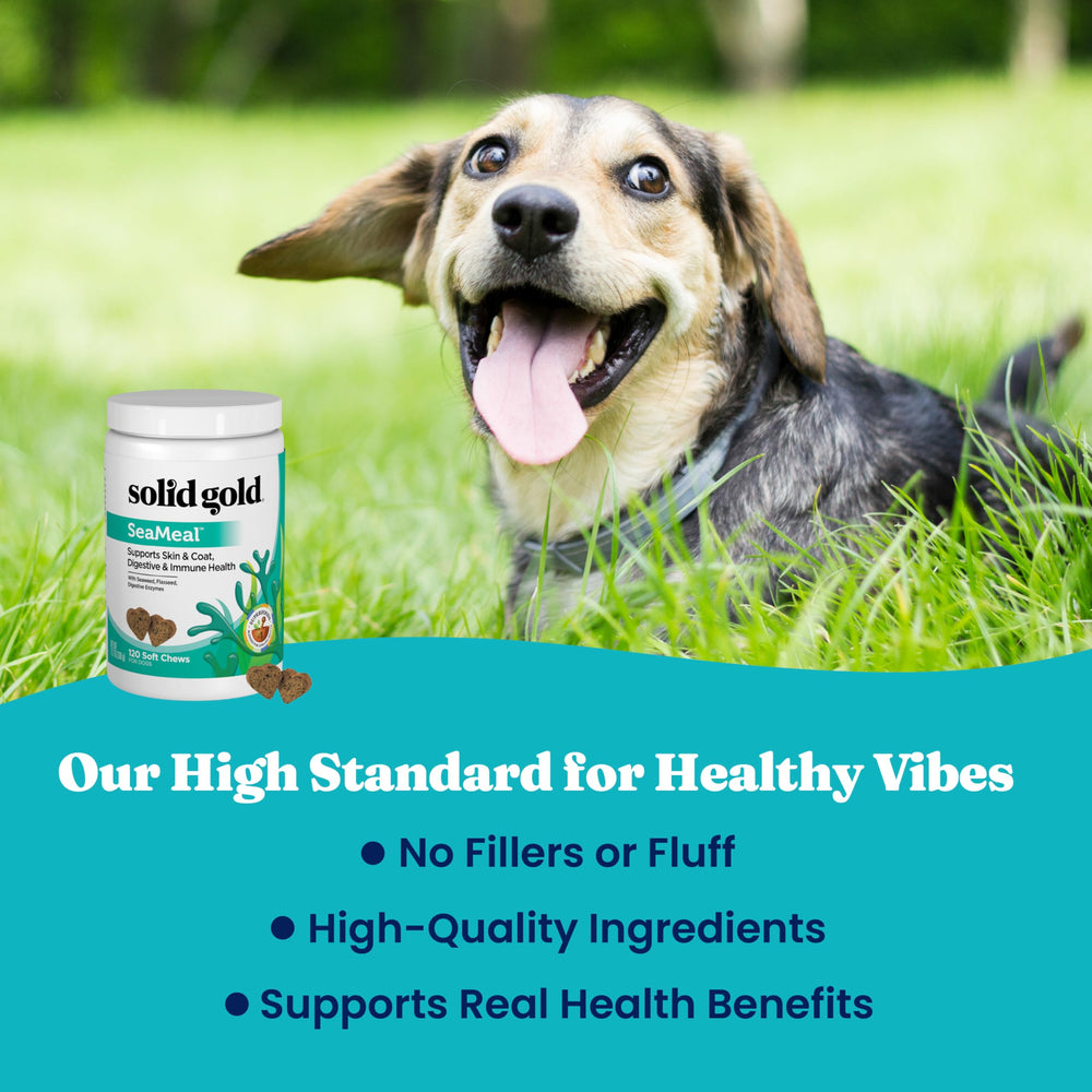 Solid Gold SeaMeal senior dog use-case image implying daily support.