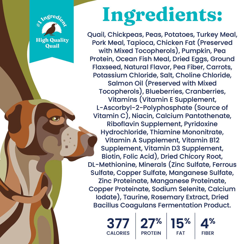Senior Solid Gold dog food served in a bowl; convenient meal for aging dogs