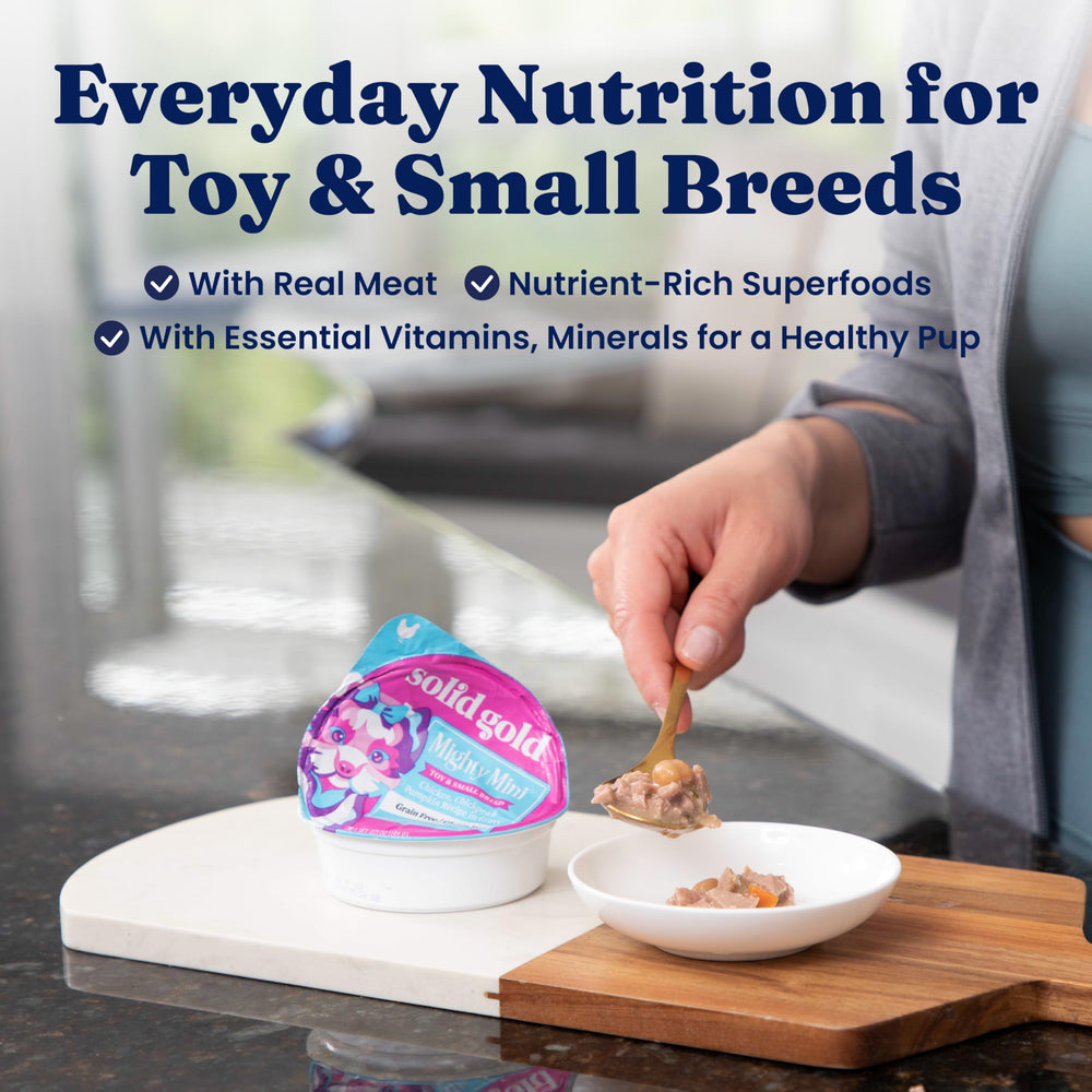 Solid Gold small-breed wet food with chicken and lamb for digestion.