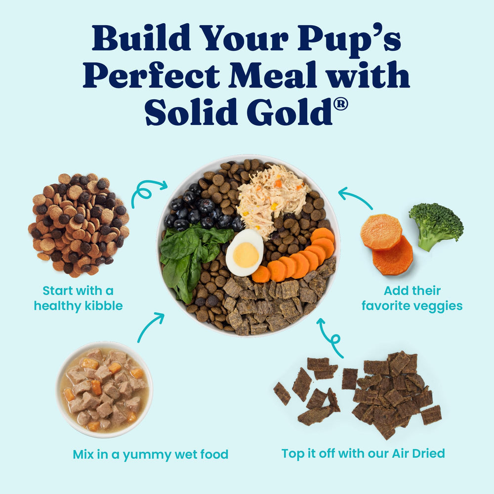 Solid Gold small-dog gut-health superfoods shown in a healthy meal concept.