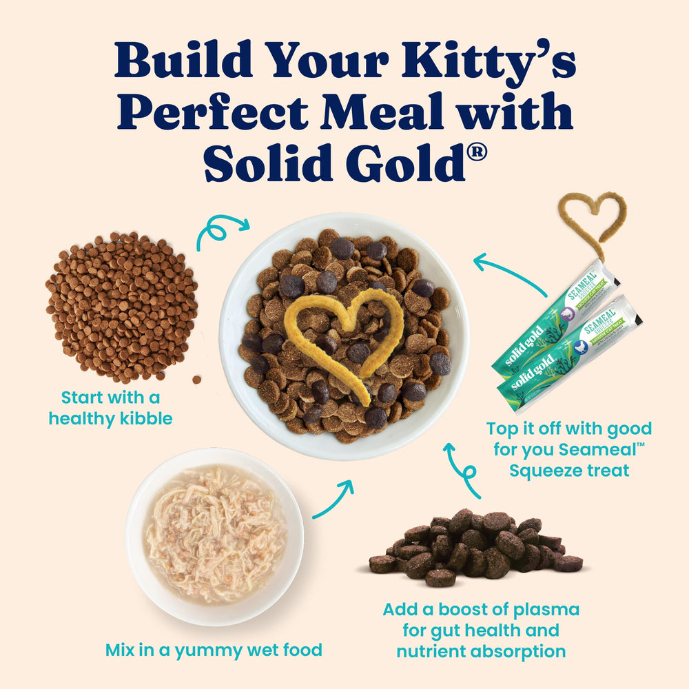Solid Gold soft texture shot illustrates kitten-friendly meal consistency.