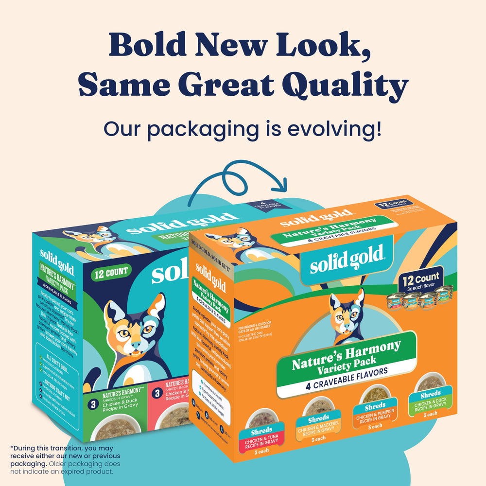 Solid Gold soft-texture wet cat food in bowl, easy to chew