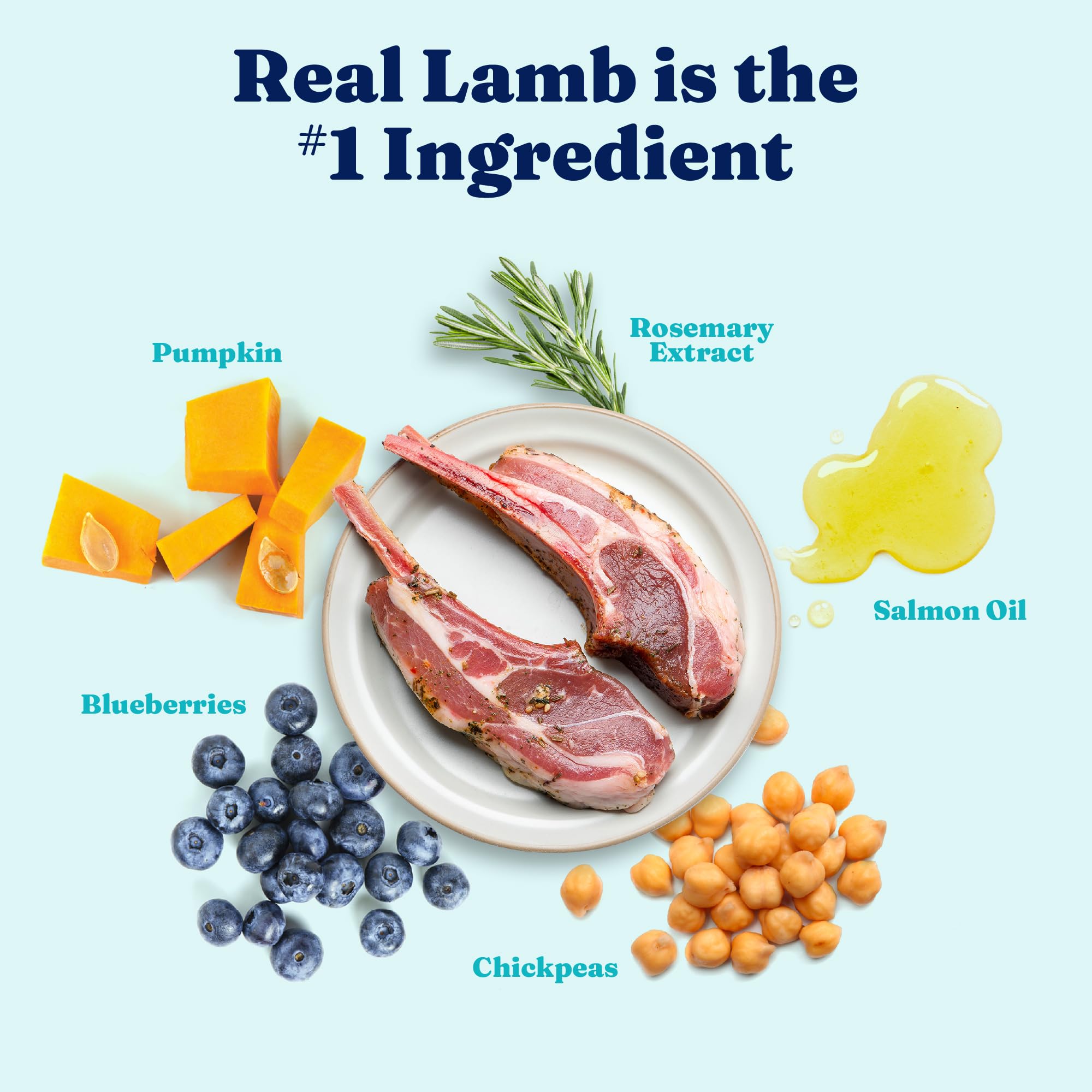 Solid Gold Toy & Small Breed dry food with real lamb ingredient highlighted