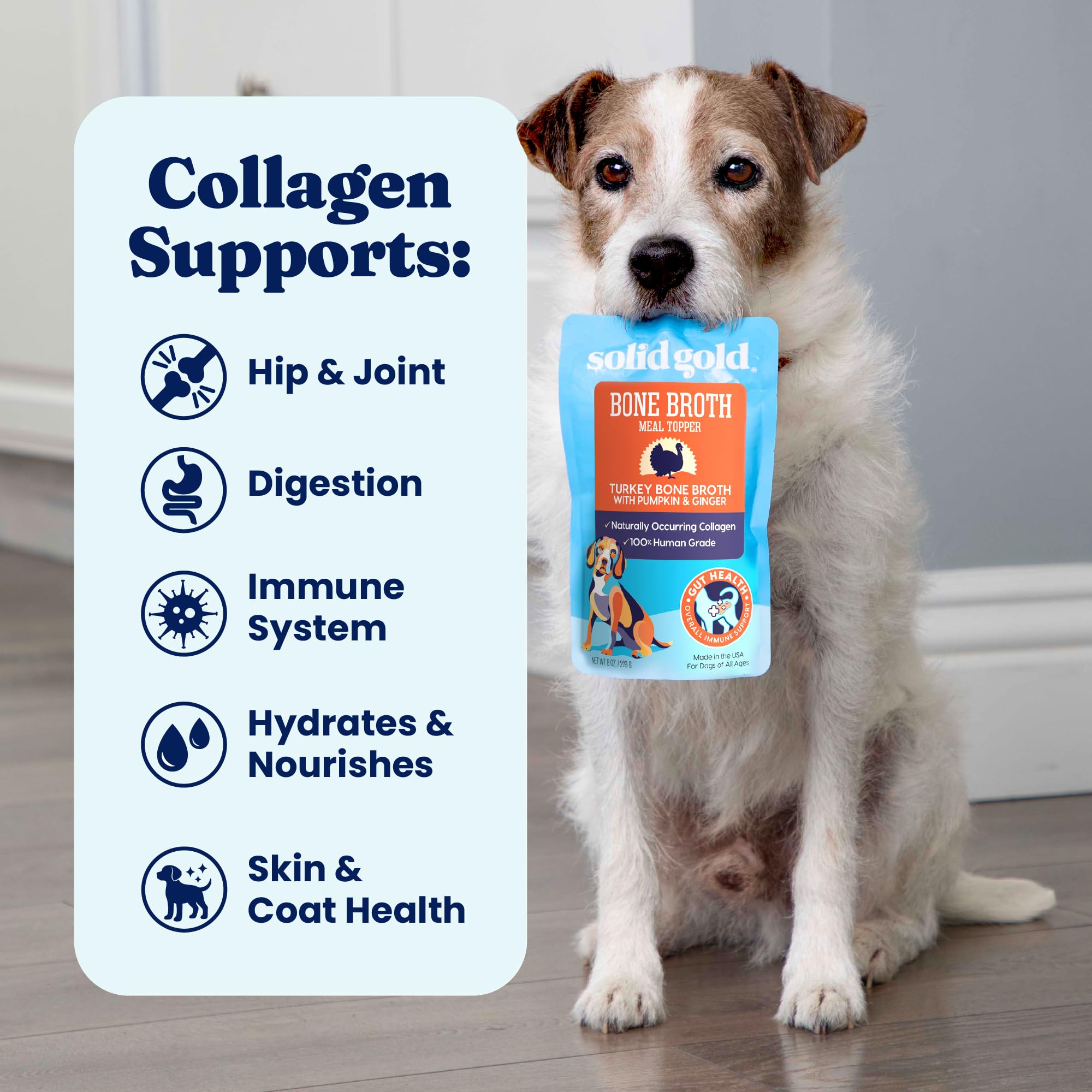 Solid Gold turkey bone broth hydration visual shows added moisture on kibble