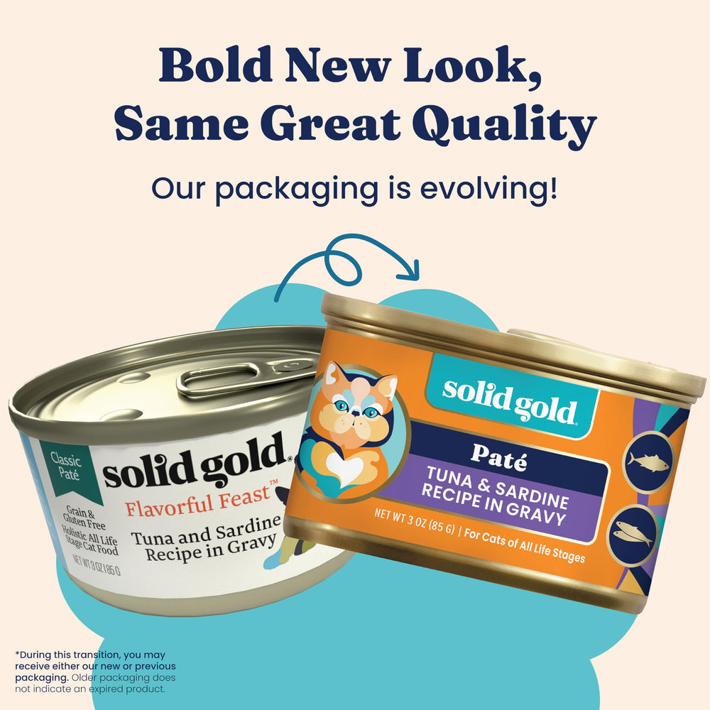 Solid Gold Wet Cat Food Pate served in bowl highlights high moisture for hydration.
