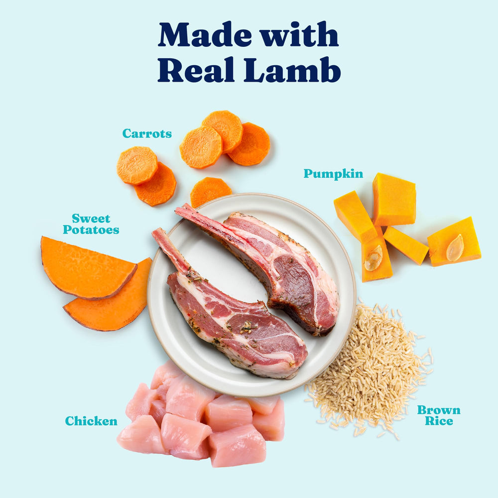 Solid Gold high-protein lamb wet dog food for active adult and senior dogs.