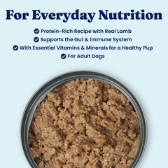 Solid Gold wet dog food with probiotics to support digestion and immune function in senior dogs.