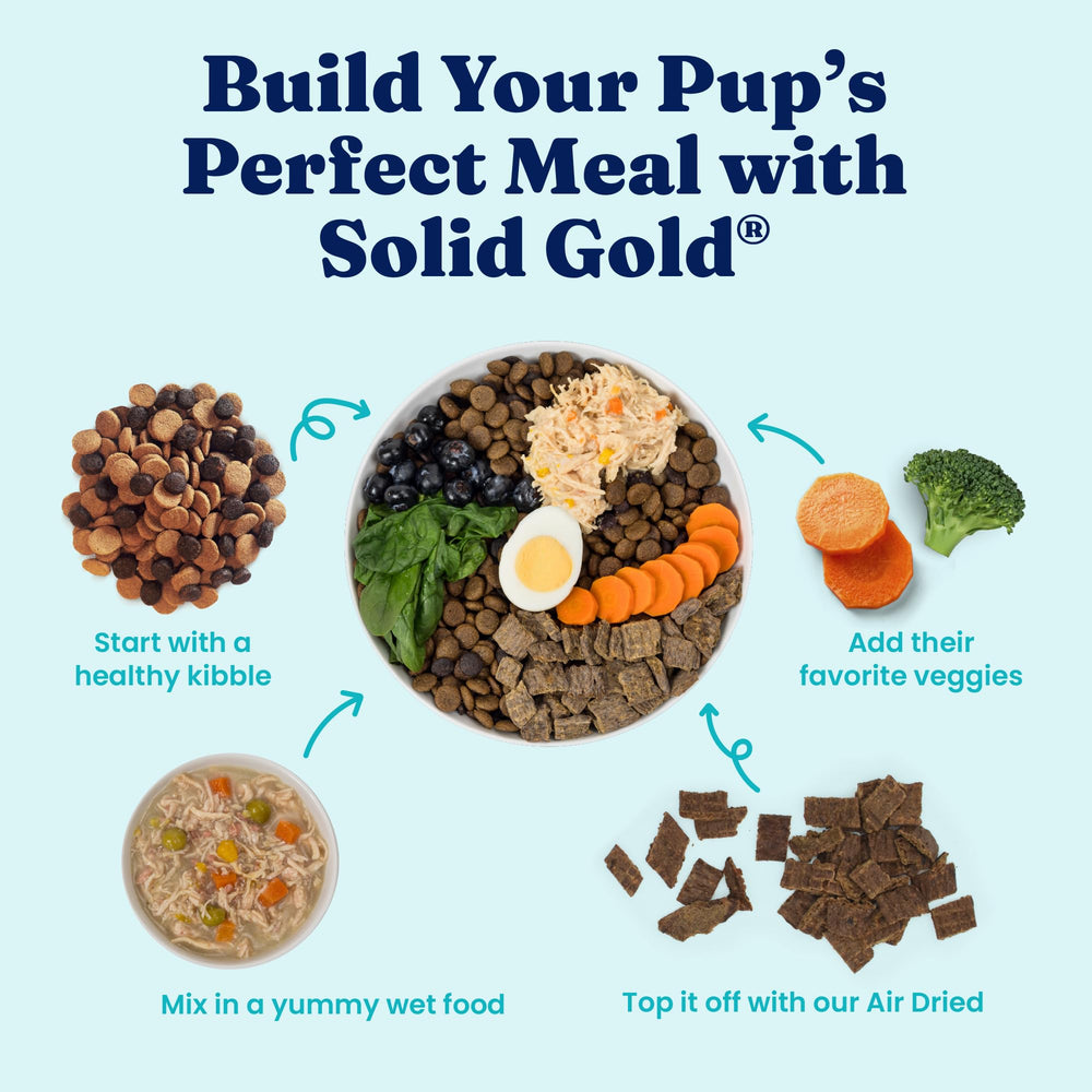 Solid Gold grain-free option for dogs with sensitive stomachs.
