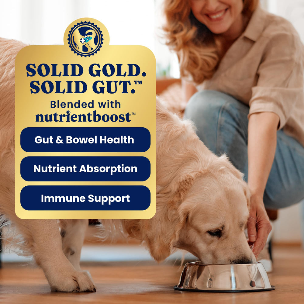 Solid Gold wet cups suit senior dogs needing soft, moisture-rich meals.