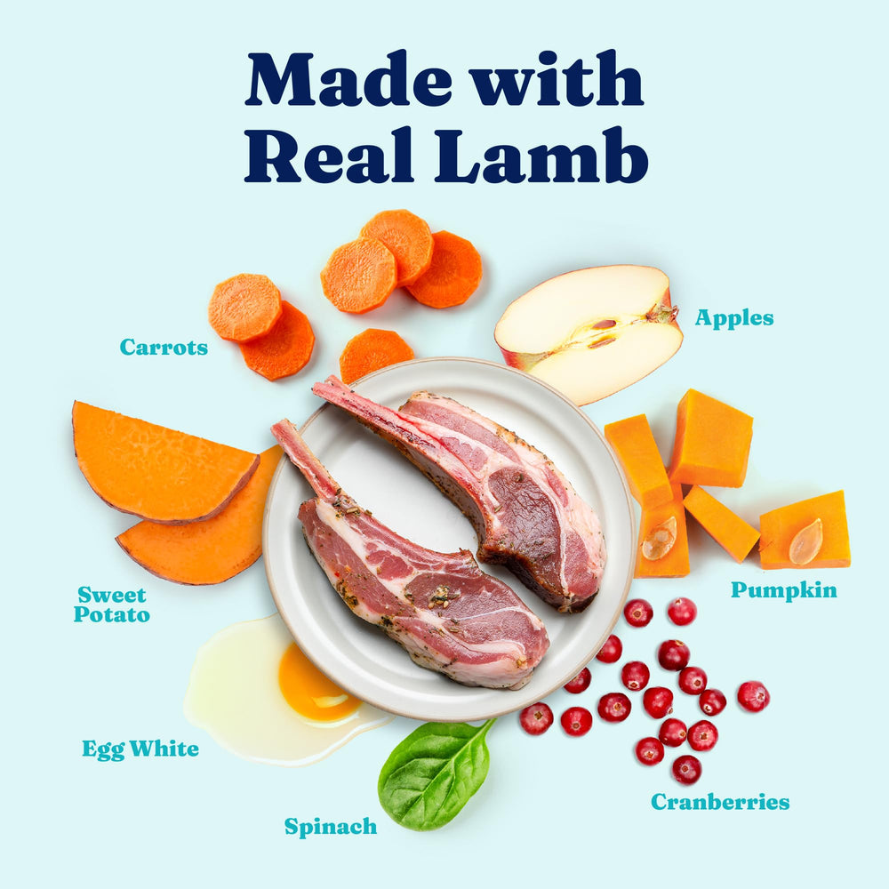 Solid Gold lamb-recipe grain-free wet food highlighting gentle texture.