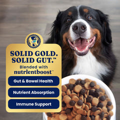 Solid Gold Whole grain kibble in a bowl conveys lasting energy.