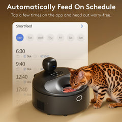 SOLOWINNER pre-heating warms meals to a cat-friendly temperature.
